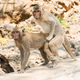 iStock